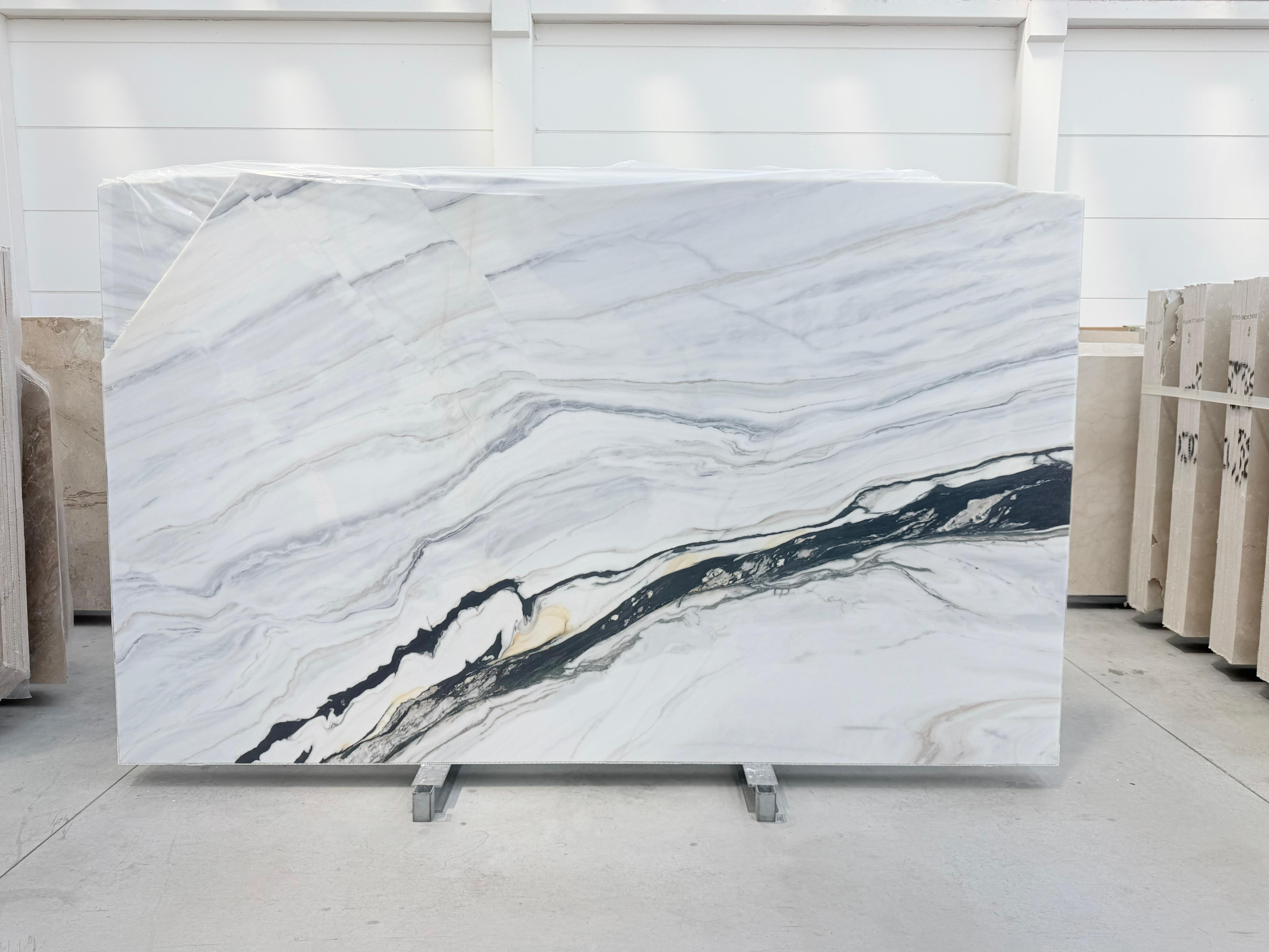 LASA COVELANO BLACK VEIN